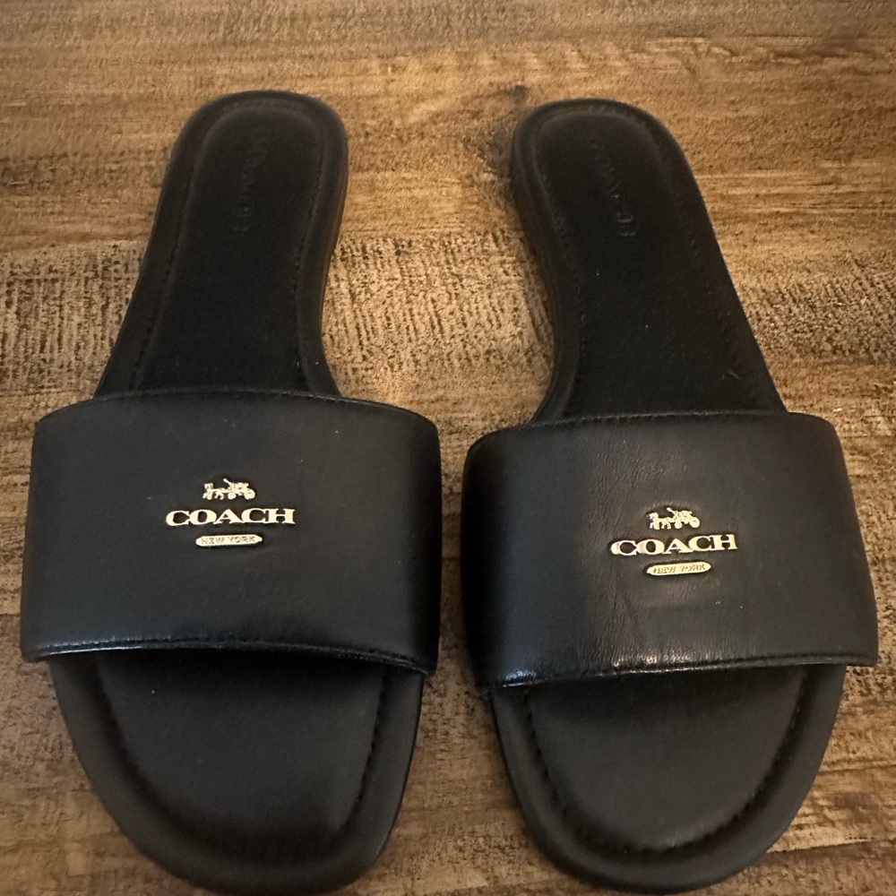 Coach Black Slides